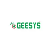 GEESYS Technologies (India) Private Limited GEESYS Technologies (India) Private Limited