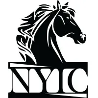 NYIC NEW YORK INTERNATIONAL CAPITAL