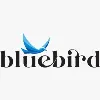 Bluebird Advertising Bluebird Advertising