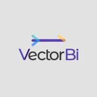 VectorBI
