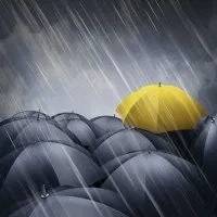 Havens Way Non-Profit