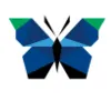 Morpho Energy Morpho Energy