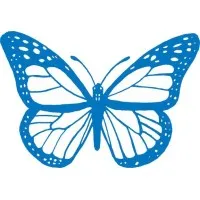 Monarch Air Monarch Air