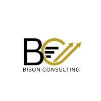 Bison Consulting