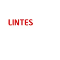 LinTes Technology Company