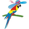 Macaws Infotech Macaws Infotech