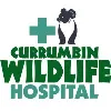Currumbin Wildlife Hospital Currumbin Wildlife Hospital