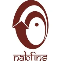 NABFINS LTD