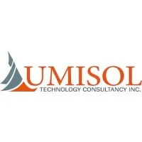Lumisol Technology Consultancy