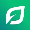 LendingTree LendingTree