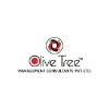 Olive Tree Olive Tree