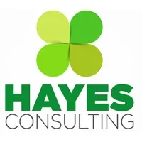Hayes Consulting