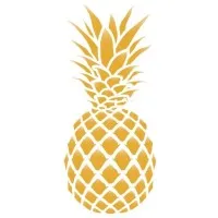 Pineapple Group FZE