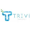 Trevi Teknoloji ve Danışmanlık Trevi Teknoloji ve Danışmanlık