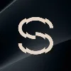 SAY Concepts