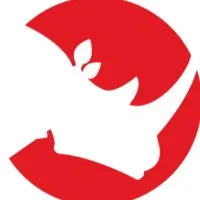 Bang Albino Communications