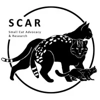 Small Cat Advocacy and Research (SCAR)