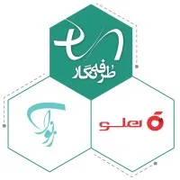 Torfehnegar Holding | هلدینگ طرفه نگار