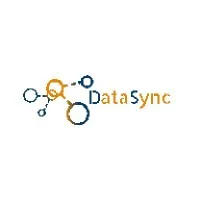 DataSync Inc.