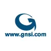 GlobalNet Services, Inc. GlobalNet Services, Inc.