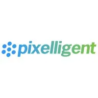 Pixelligent Technologies