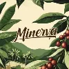Café Minerva Ecuador Café Minerva Ecuador