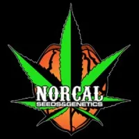 NorCal Seeds & Genetics