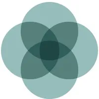 The Wealth Designers