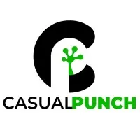 Casual Punch Game Studios Pvt. Ltd.