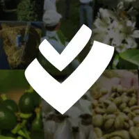 ViaVerde Consultoria Agropecuária