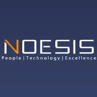NOESIS IT Consulting Services