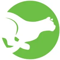 Mountain Line (Missoula, MT)