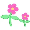 Hispir Care