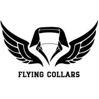Flying Collars Solutions