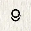 OG.LLC - A Consulting Firm