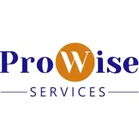 ProWise Services Inc. ProWise Services Inc.
