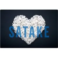SATAKE AMÉRICA LATINA LTDA