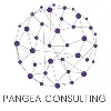 Pangea Consulting LLC Pangea Consulting LLC
