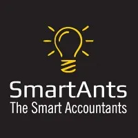 SmartAnts Accounting (OPC) Pvt Ltd
