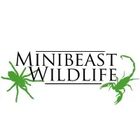 Minibeast Wildlife