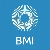 BMI Country Risk & Industry Analysis