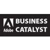 Adobe Business Catalyst