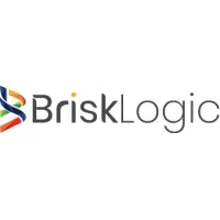 Brisk Logic - Delivered Fast and Cost-Effective