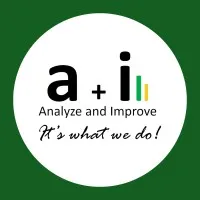 Analyze and Improve Inc.