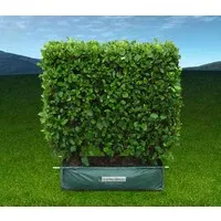 Twining Valley Nurseries Twining Valley Nurseries