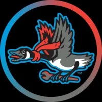 Beloit Sky Carp - Gateway Professional Baseball, LLC