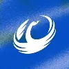 Western Force Western Force