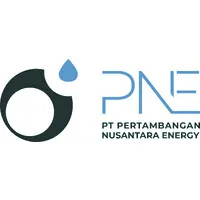 PT Pertambangan Nusantara Energy