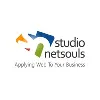 studio NetSouls studio NetSouls