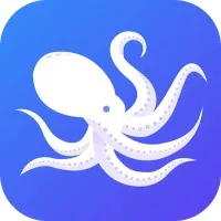 Octopus BI - Sri Lanka email format